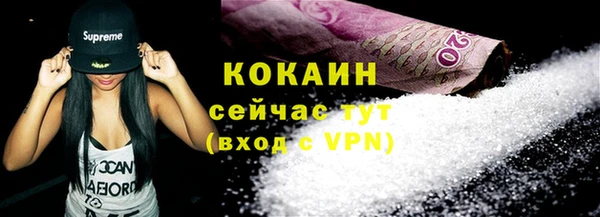 винт Абаза