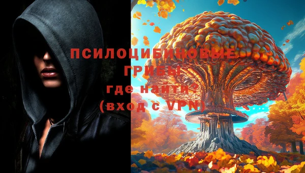 винт Абаза