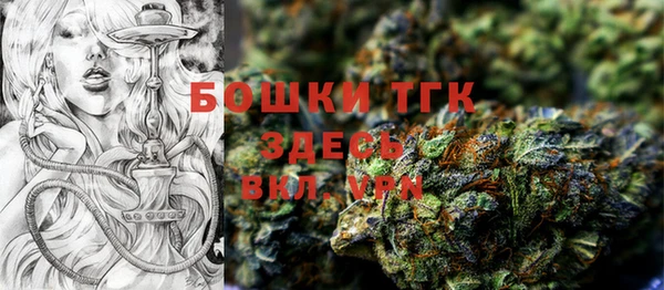 винт Абаза