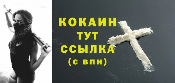 винт Абаза