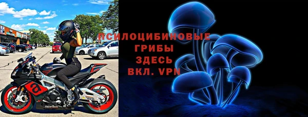 стафф Абинск