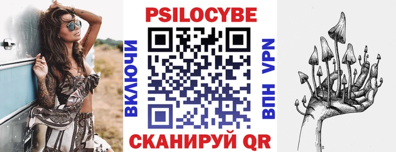 MEGA ссылка  даркнет сайт  Урус-Мартан  Галлюциногенные грибы Psilocybine cubensis 
