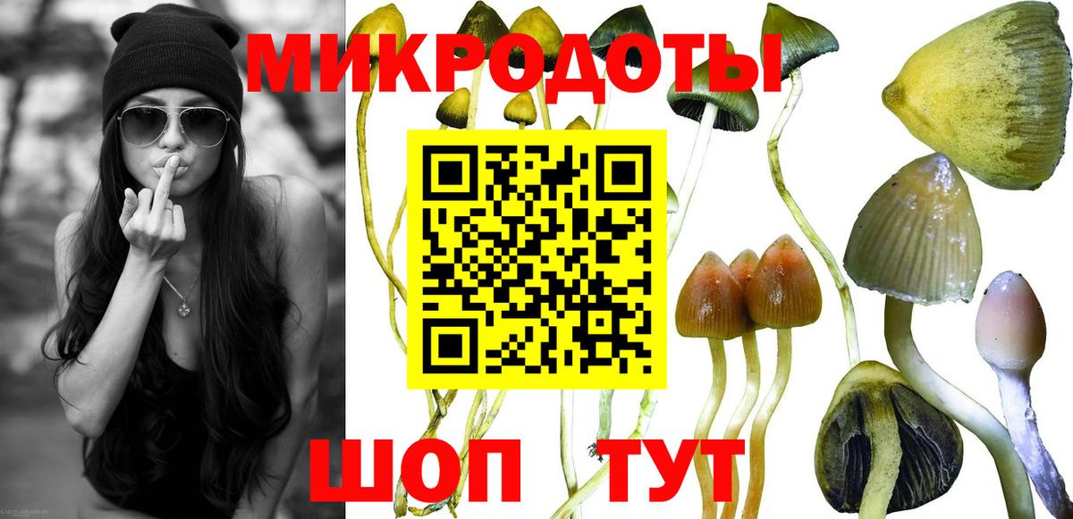 Галлюциногенные грибы Magic Shrooms  Вход с VPN  Урус-Мартан  Псилоцибиновые грибы Magic Shrooms 